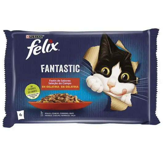 Felix Fantastic Festín De Sabores Carne. Gelatina (4x85g)